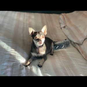 Meet your Posher, Allison